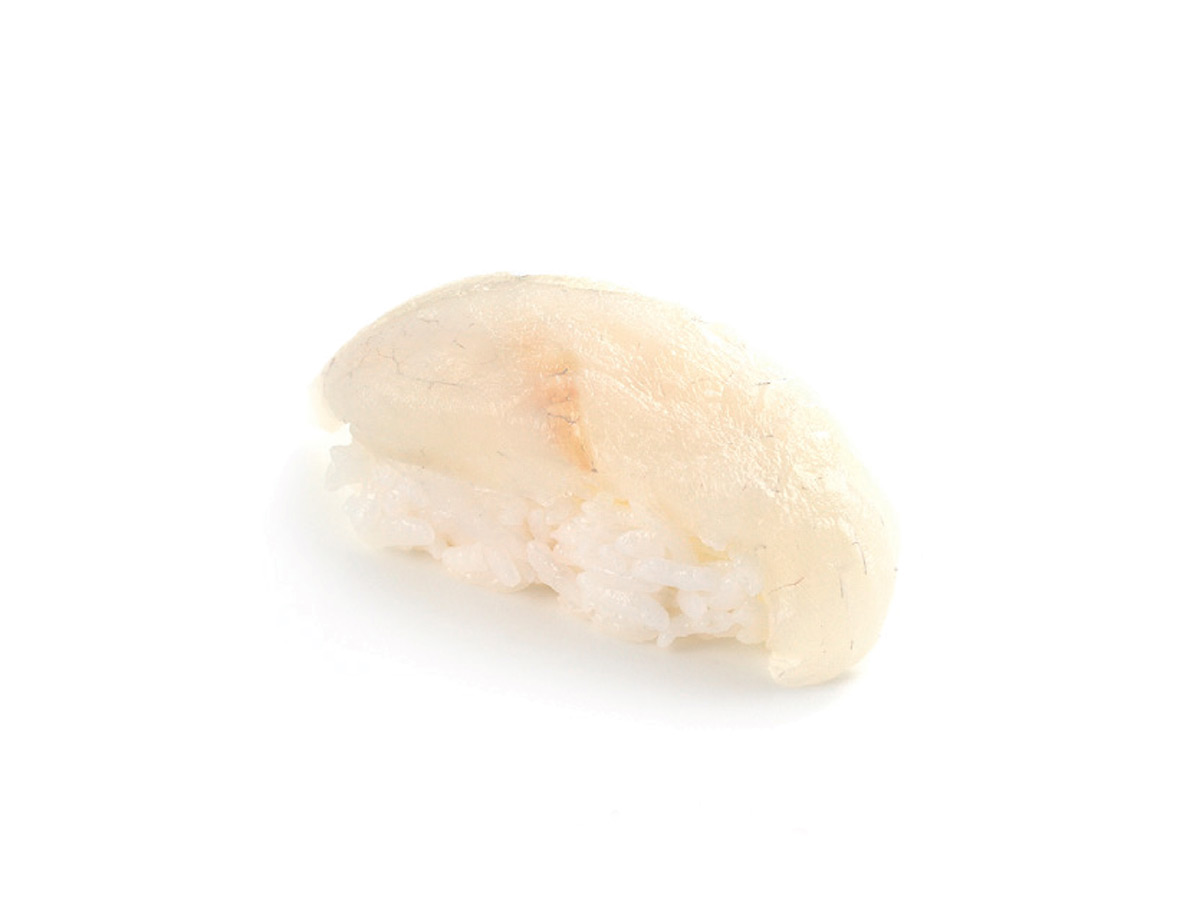 nigiri-spigola-daruma-sushi